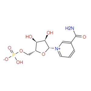  β-烟酰胺单核苷酸  NMN  1094-61-7 