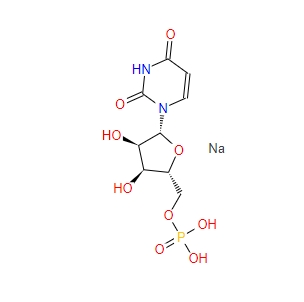 5′-尿苷酸二钠,UMP