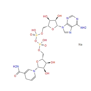 β-烟酰胺腺嘌呤二核苷酸二钠/还原型辅酶I  NADH  606-68-8