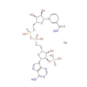 烟酰胺腺嘌呤二核苷酸磷酸（还原型）NADPH  2646-71-1