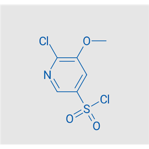 6-氯-5-甲氧基吡啶-3-磺酰氯