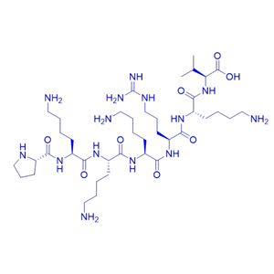 基因导入多肽NLS (PKKKRKV)/95088-49-6/NLS (PKKKRKV)