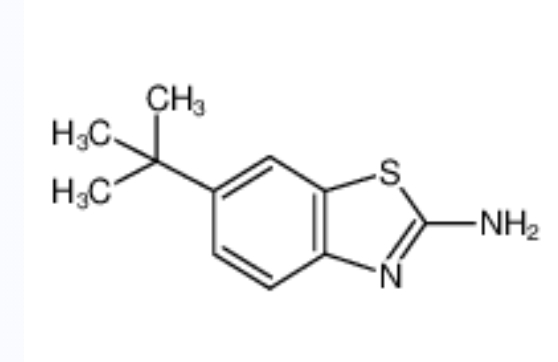 2-氨基-6-叔丁基苯并噻唑,6-tert-butyl-1,3-benzothiazol-2-amine