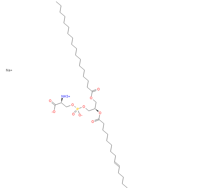 磷脂酰丝氨酸(猪脑),L-ALPHA-PHOSPHATIDYLSERINES, BRAIN, PORCINE