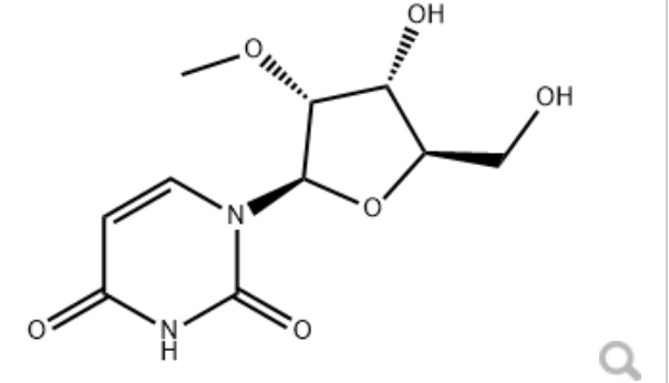2'-甲氧基尿苷,2'-O-Methyluridine