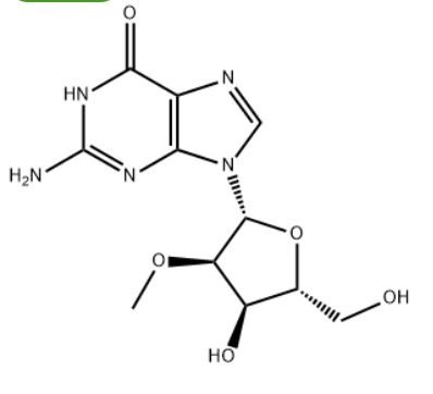 2'-甲氧基鸟苷,2'-O-Methylguanosine