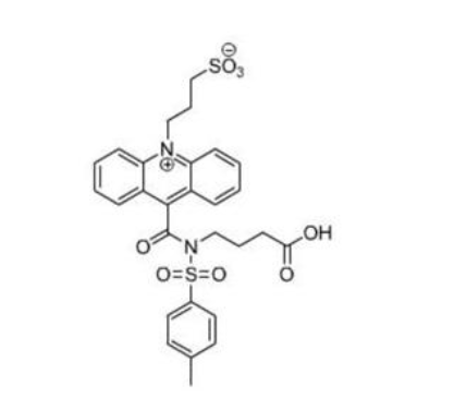 吖啶酸丙磺酸盐(NSP-SA),NSP-SA