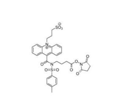 吖啶酯(NSP-SA-NHS),NSP-SA-NHS