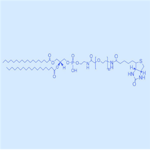 二硬脂酰磷脂酰乙酰胺-聚乙二醇2000-生物素