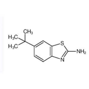 2-氨基-6-叔丁基苯并噻唑	