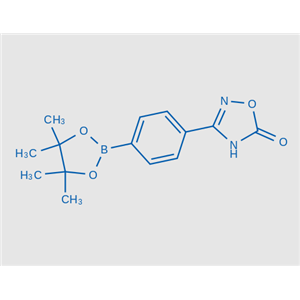 3-(4-(4,4,5,5-四甲基-1,3,2-二氧硼杂环戊烷-2-基)苯基)-1,2,4-恶二唑-5(4H)-酮,3-(4-(4,4,5,5-Tetramethyl-1,3,2-dioxaborolan-2-yl)phenyl)-1,2,4-oxadiazol-5(4H)-one