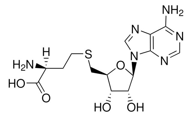 S-(5′-腺苷)-<SC>L</SC>-高半胱氨酸
