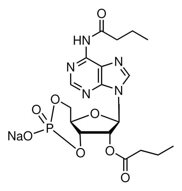 N<SUP>6</SUP>,2′-O-二丁酰基腺苷 3′,5′-环单磷酸 钠盐