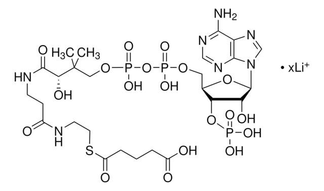 戊二酰辅酶A 锂盐