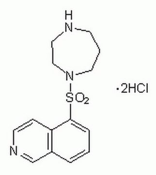 HA 1077, Dihydrochloride  Calbiochem