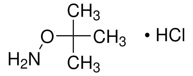 <I>O</I>-叔丁基羟胺 盐酸盐