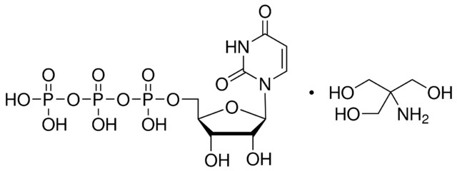 尿苷-5′-三磷酸酯 三羟甲基氨基甲烷盐