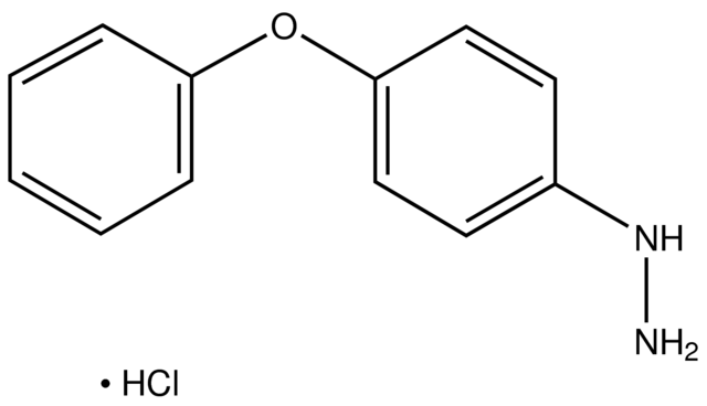 1-(4-Phenoxyphenyl)hydrazine hydrochloride