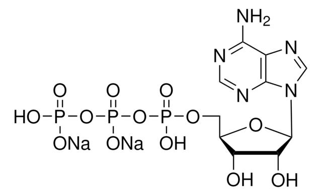 腺苷-5′-三磷酸 二钠盐 溶液