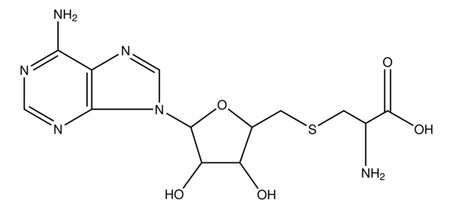 S-(5′-Adenosyl)-<SC>L</SC>-cysteine