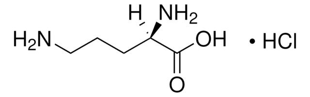 <SC>D</SC>-鸟氨酸 单盐酸盐