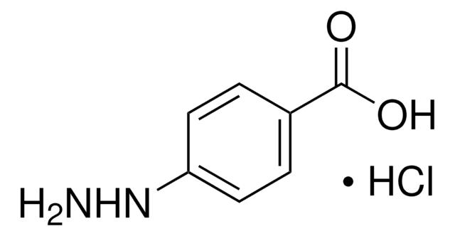 4-肼基苯甲酸 盐酸盐