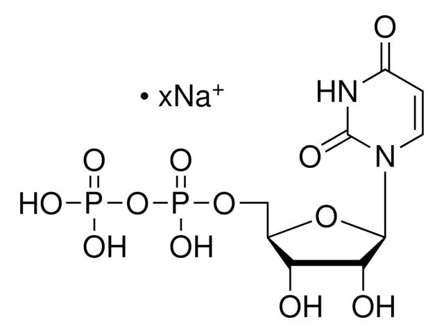尿苷 5′-（二磷酸三氢） 钠盐 来源于<I>酿酒酵母</I>