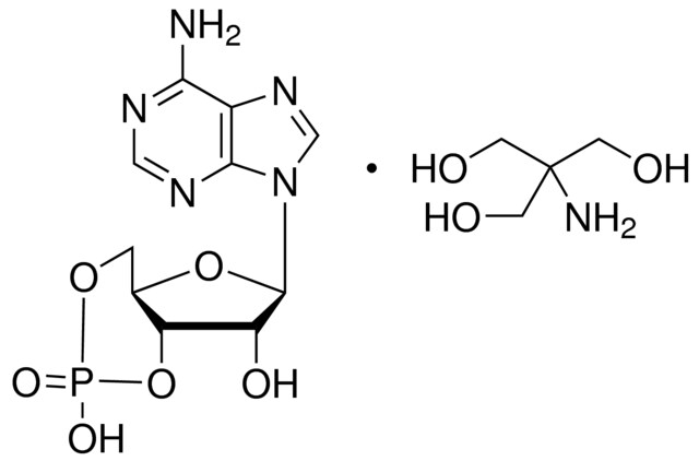 腺苷-3′,5′-環(huán)單磷酸 三羥甲基氨基甲烷鹽