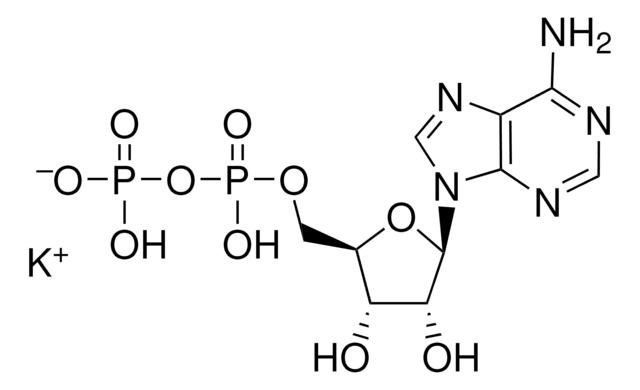 腺苷 5′-二磷酸 单钾盐 二水合物