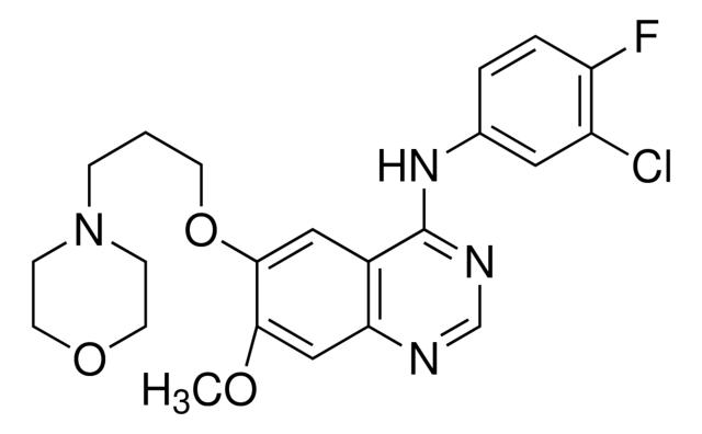 吉非替尼