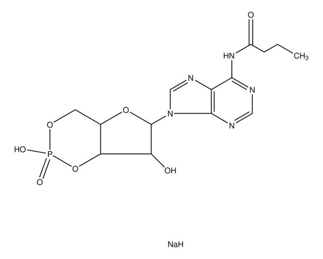 N<SUP>6</SUP>-Monobutyryladenosine 3′:5′-cyclic monophosphate sodium salt