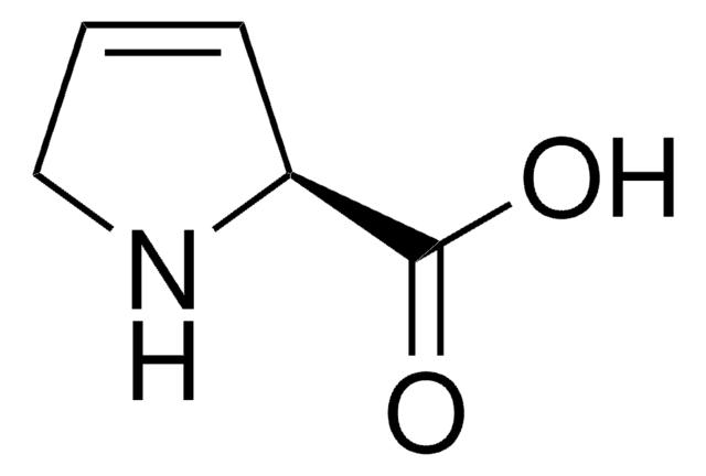 3,4-脱氢-<SC>L</SC>-脯氨酸