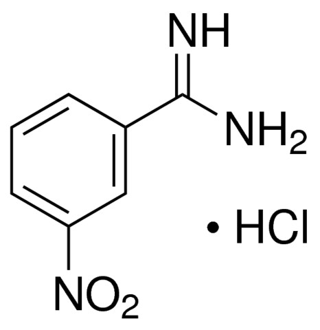 3-硝基苯甲脒 盐酸盐
