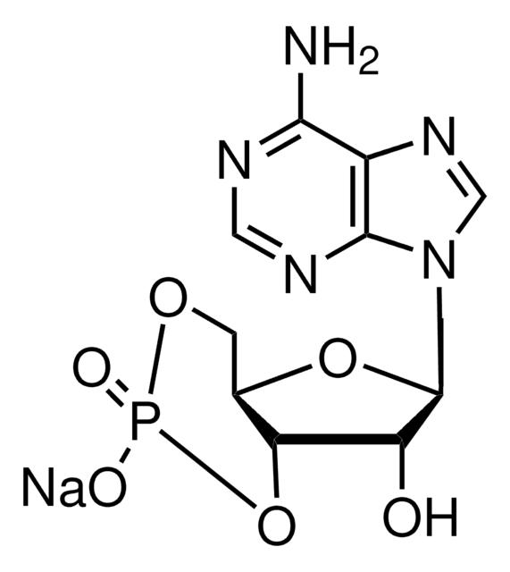 腺苷 3',5'-环单磷酸 钠盐 一水合物