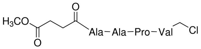 N-(Methoxysuccinyl)-Ala-Ala-Pro-Val-chloromethyl ketone