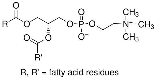 <SC>L</SC>-α-磷脂酰膽堿