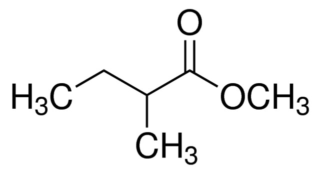 2-甲基丁酸甲酯