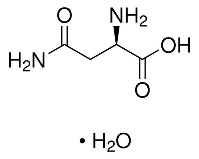 <SC>D</SC>-天冬酰胺 一水合物