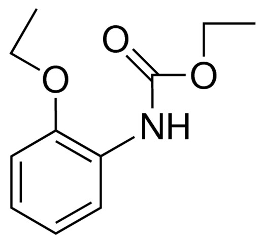 ETHYL N-(2-ETHOXYPHENYL)CARBAMATE