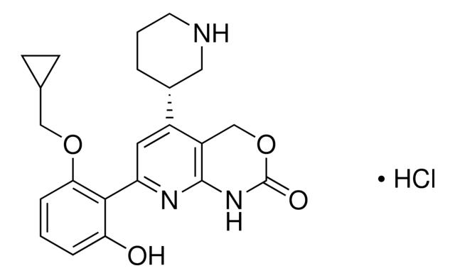 KINK-1 hydrochloride,600734-06-3