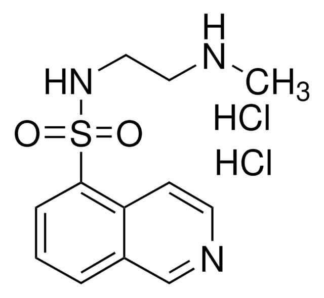 H-8 dihydrochloride,113276-94-1