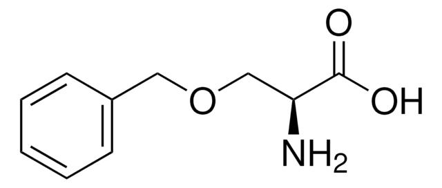 O-苄基-<SC>L</SC>-丝氨酸,4726-96-9