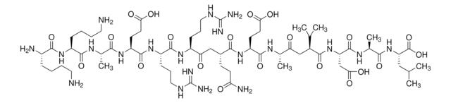 Autocamtide 2-相关抑制肽,167114-91-2