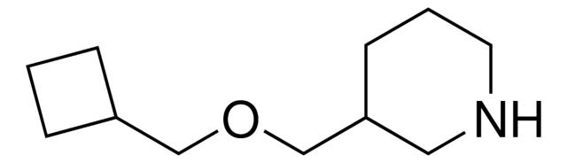 3-((Cyclobutylmethoxy)methyl)piperidine,883524-46-7