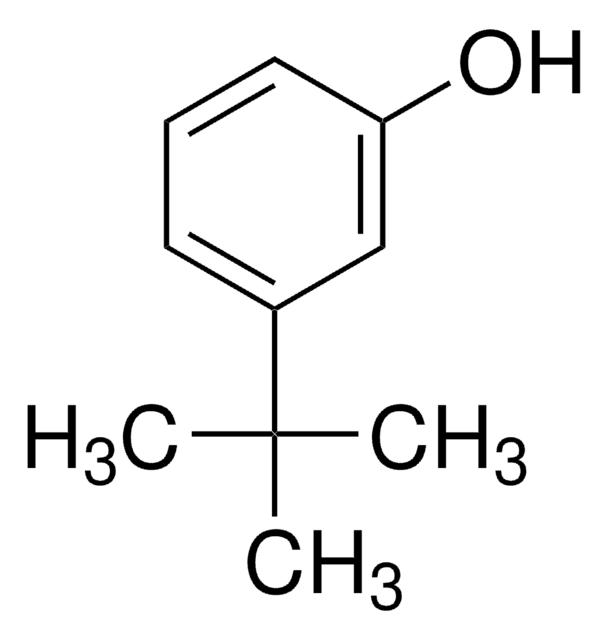 3-叔丁基苯酚,585-34-2