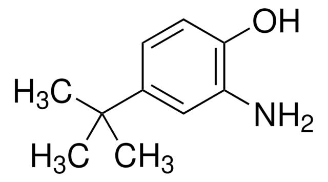 2-氨基-4-叔丁基苯酚,1199-46-8