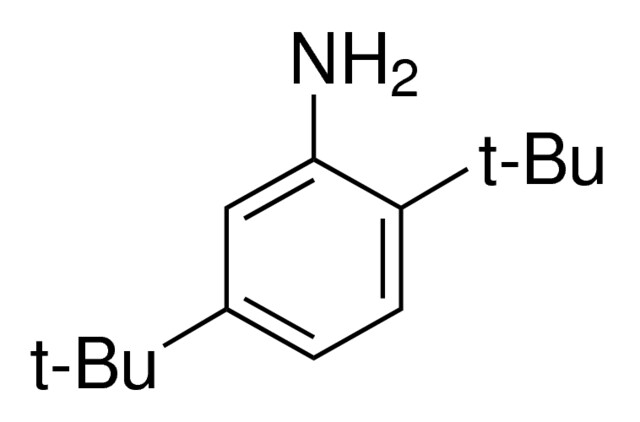 2,5-二叔丁基苯胺,21860-03-7