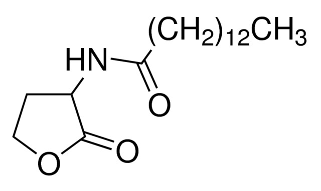 正十四酰基-<SC>DL</SC>-高丝氨酸内酯,98206-80-5