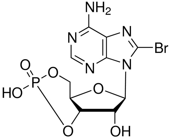 8-溴腺苷-3',5'-环单磷酸,23583-48-4