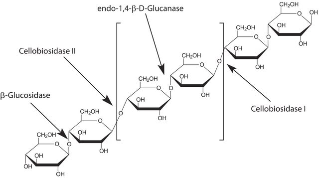 β-葡萄糖苷酶 来源于杏仁,9001-22-3